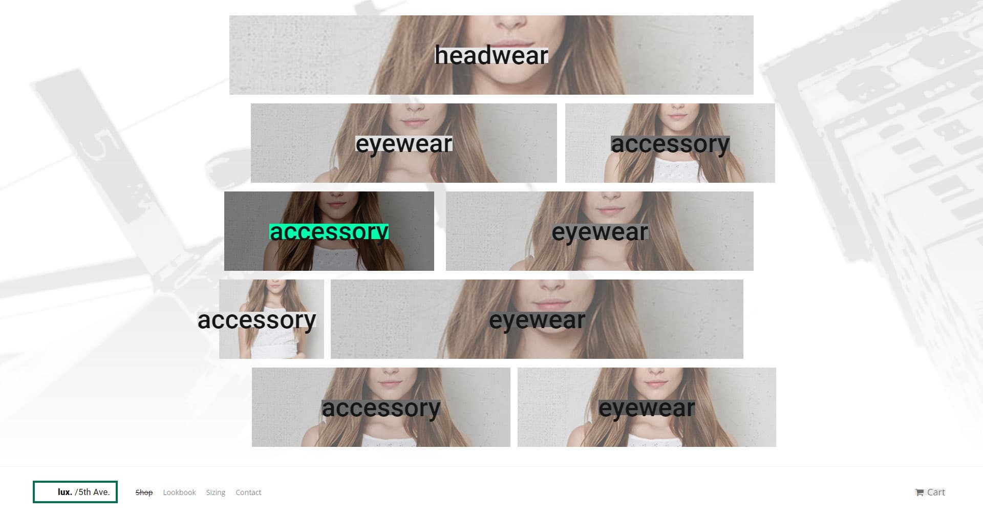 Lux 5th Ave Clothing Site project image 3